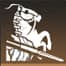 Tiger and leopard cavalry