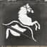 White horse fellows